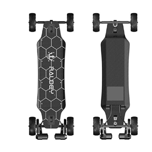 RALDEY V2 Carbon Fiber Off-Road Longboard