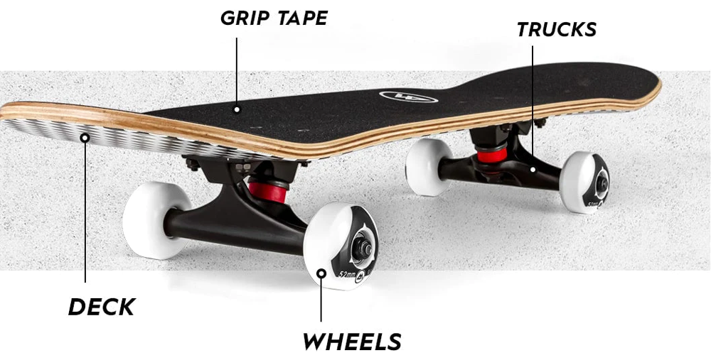 10 Things that Make a Longboard Good (How to Determine)